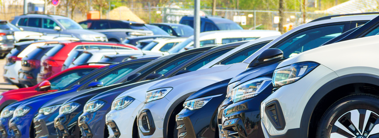 Expert guides and resources