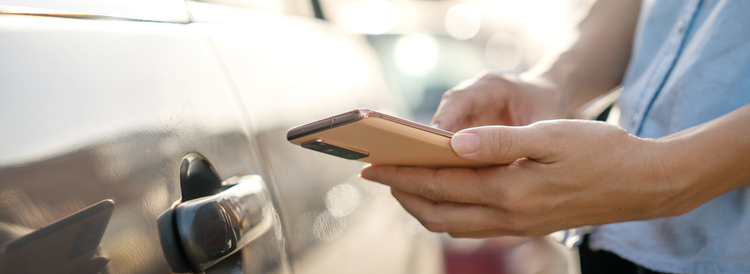 Expert guides and resources